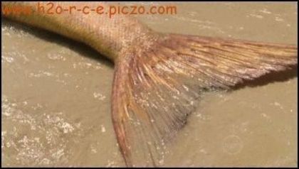 198470_1240759735398_415_236