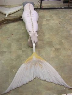 Mermaids-Costumes-h2o-just-add-water-26141930-301-399