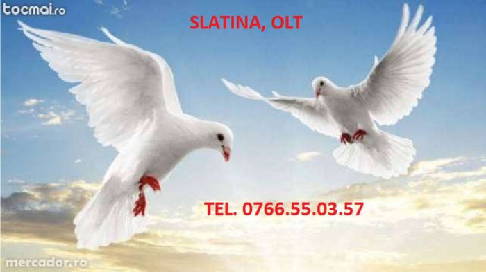 CONTACT - 1_contact-0766550357-SLATINA-OLT              ID-porumbeimihai