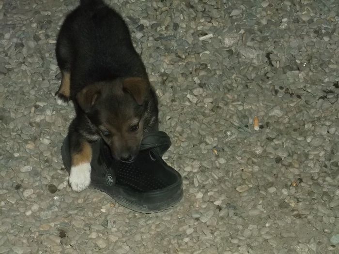 nu ma sperie un vapor, chiar daca....