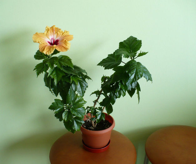 P1430543