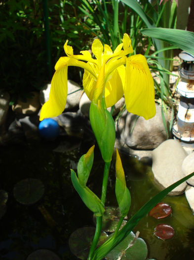 DSC04320