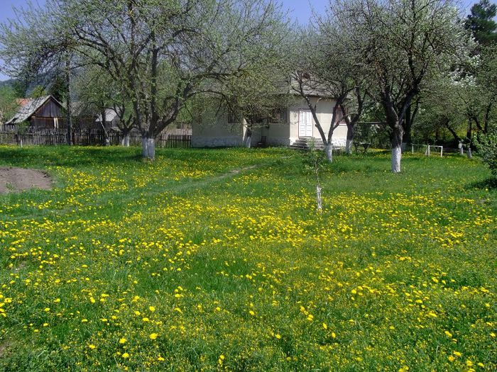 DSCF1721 - Copy - Copy