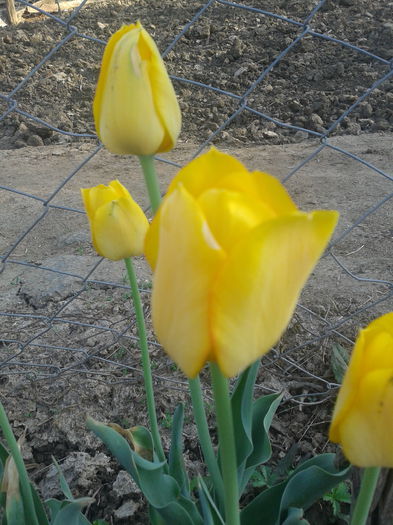 2013-05-04 08.30.26