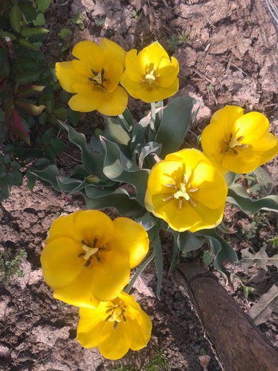 2013-05-03 10.48.45