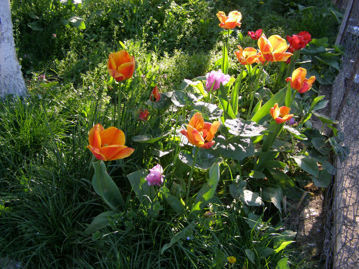 P1017988
