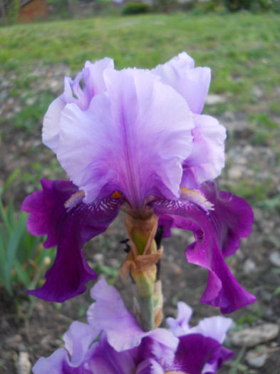 DSCN4462