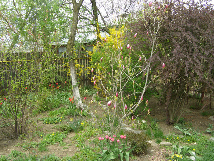 P1017949