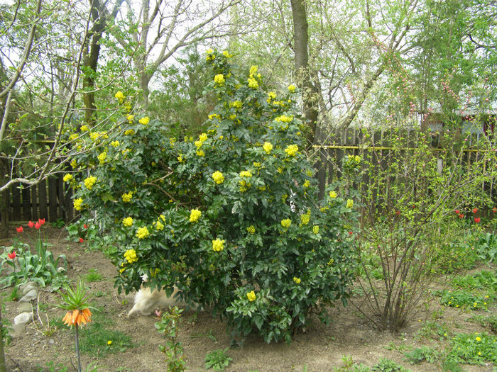 P1017950