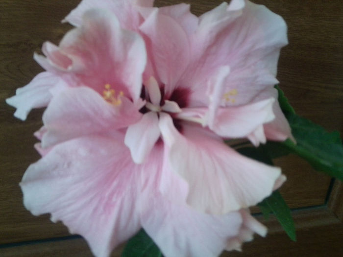 Fotografie1504 - enjoy the summer-1