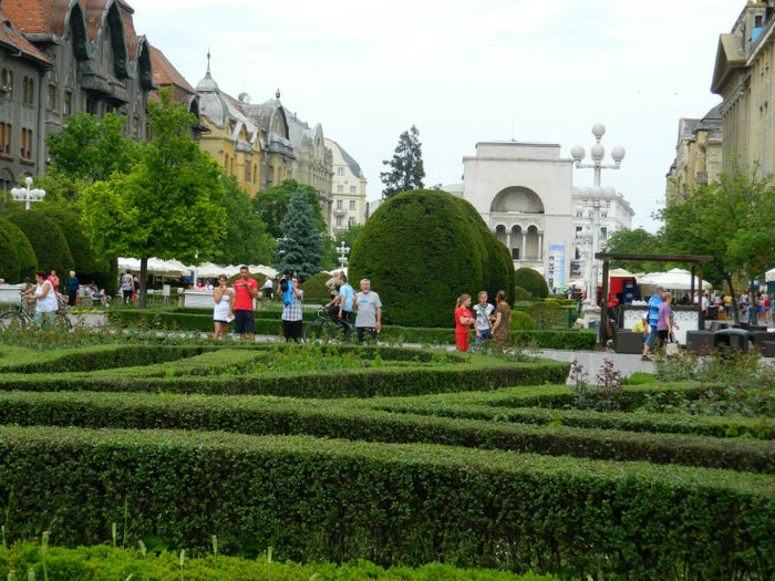 DSCN8236 - TIMISOARA MARSUL INVIERII 2013