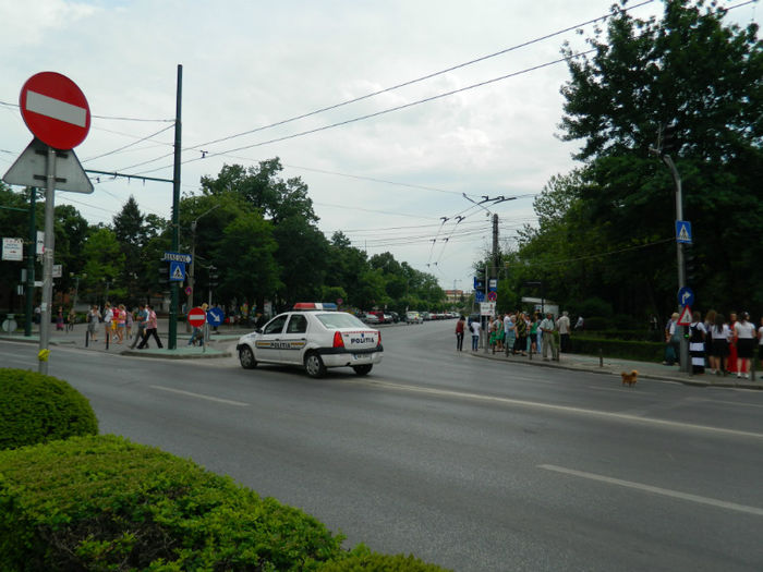 DSCN8238 - TIMISOARA MARSUL INVIERII 2013