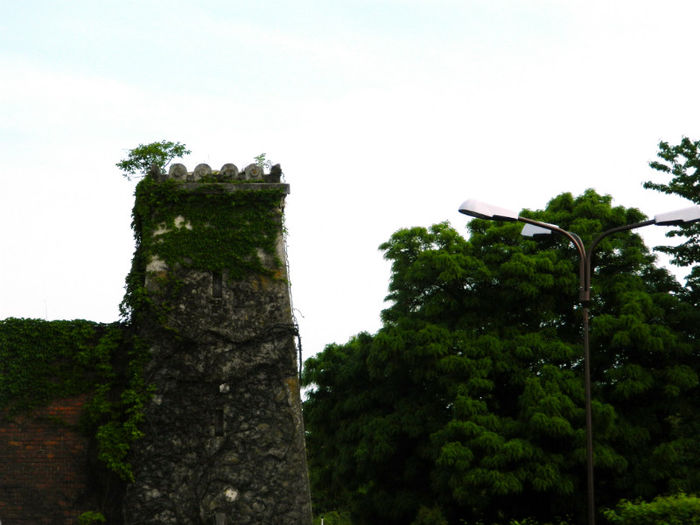 DSCN8348