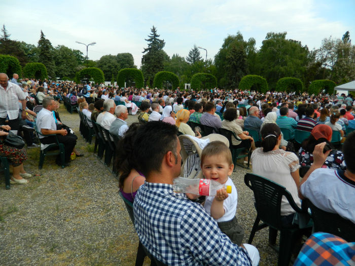 DSCN8371 - TIMISOARA MARSUL INVIERII 2013