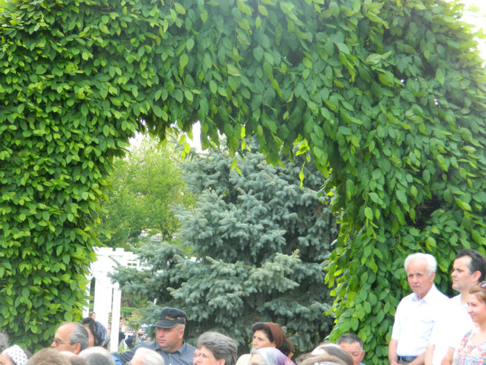 DSCN8376 - TIMISOARA MARSUL INVIERII 2013