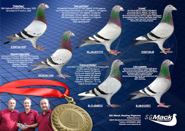 Collage SG Mack 2012 m. T.