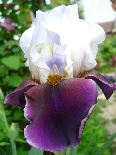 DSC04500