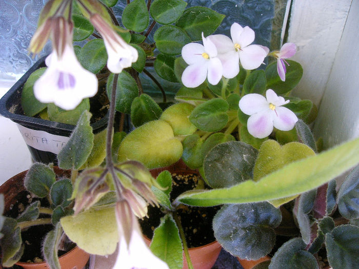 IMAG0030