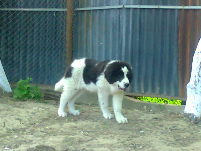 Photo2464 - Molda