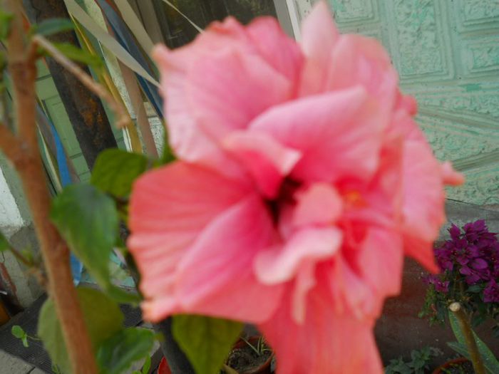 DSCN4058