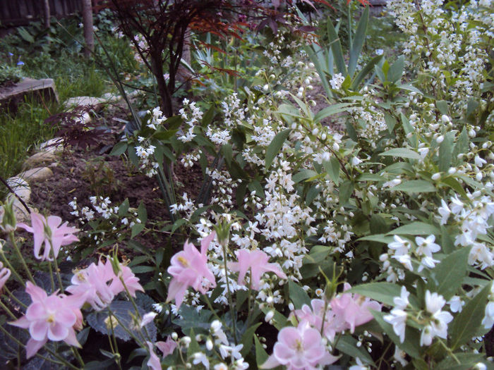 DSC03692