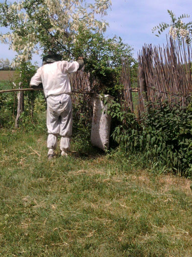 unde plecati? inapoi in stup