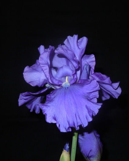 achizitie 2012- 10 mai 2013