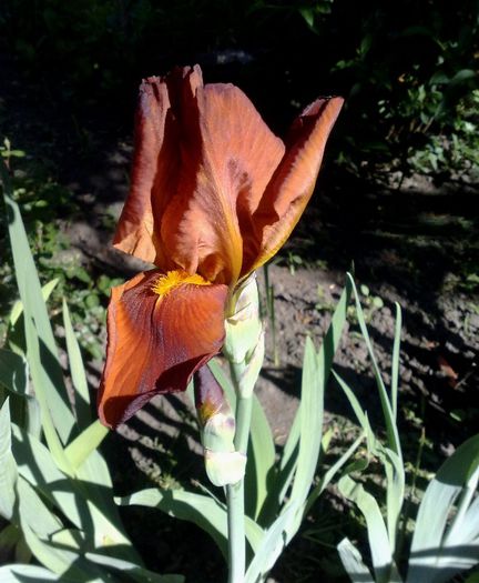 10052013