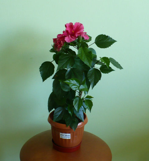 P1430677