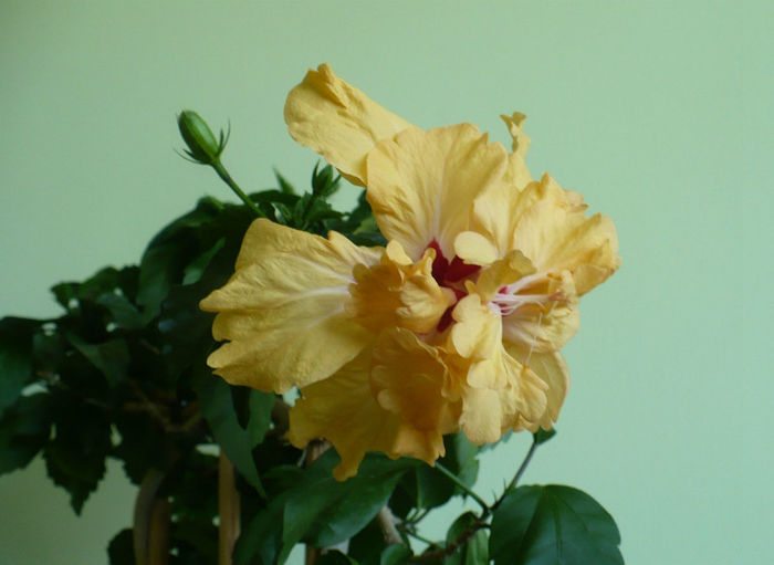 P1430668