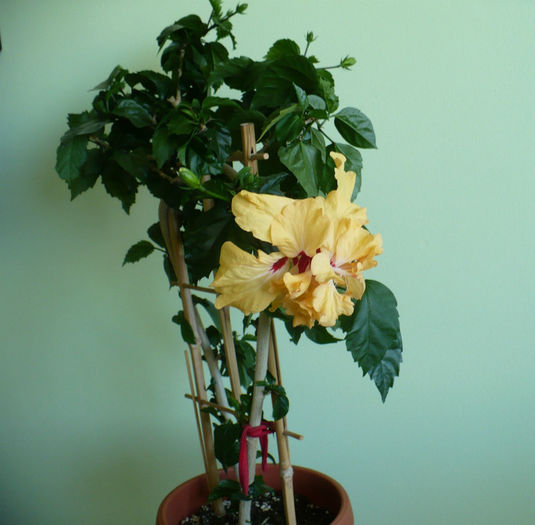 P1430670