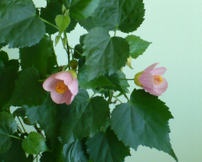 P1430700