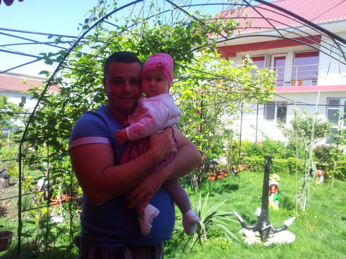 2013-05-01 11.00.27 - flori si trandafiri - 2013