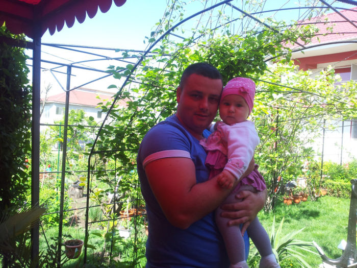 2013-05-01 11.00.39 - flori si trandafiri - 2013