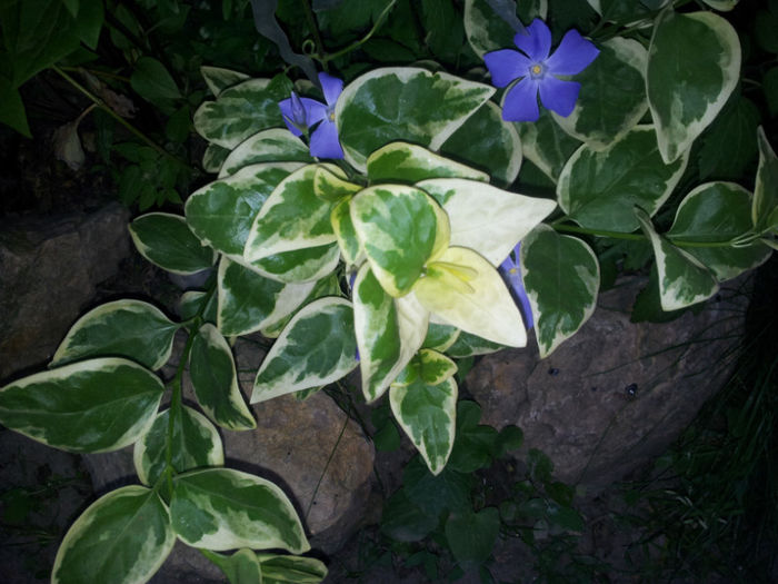2013-05-02 19.53.10