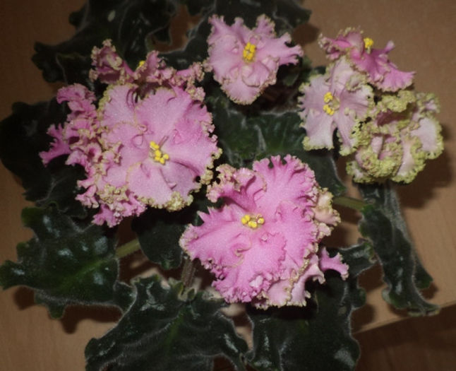 DSC01289