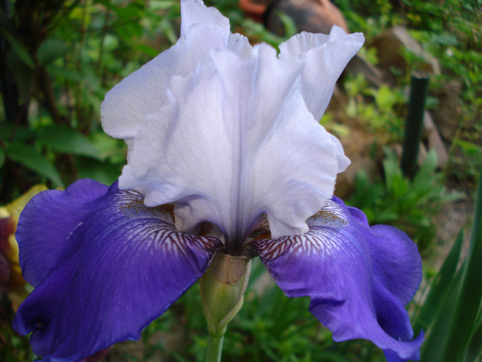 DSC04761
