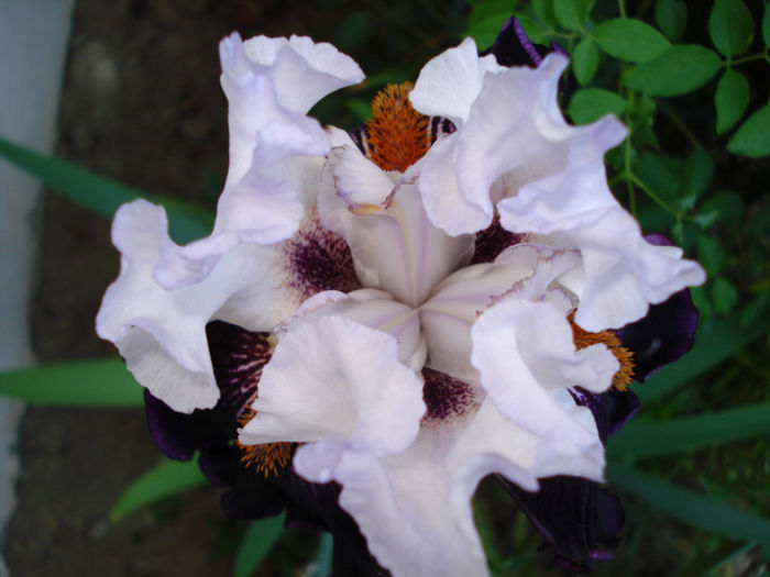DSC04781