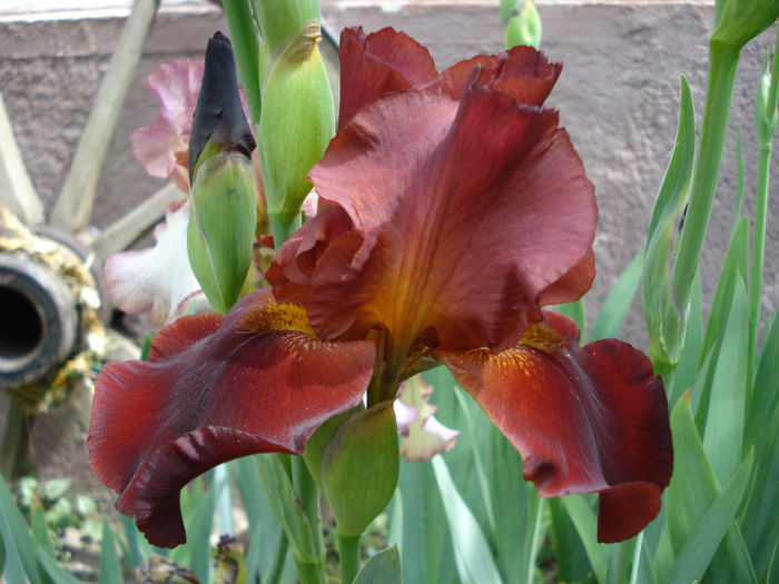 DSC04647