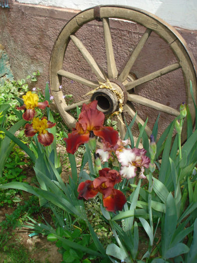 DSC04662