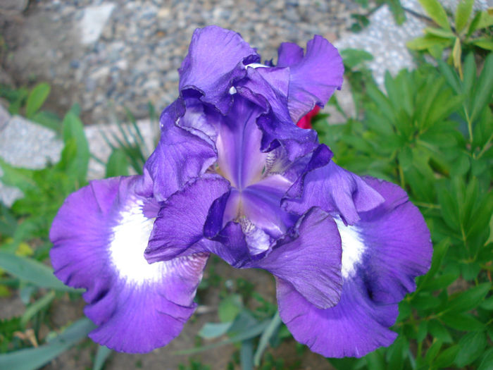 DSC04839