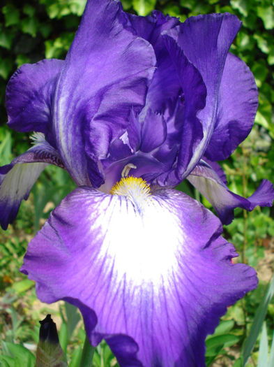 DSC04690