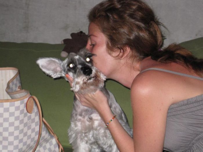 643947_426511310731103_1398940717_n