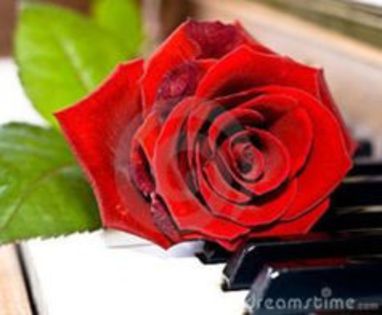 care ii era un bun amic in copilarie