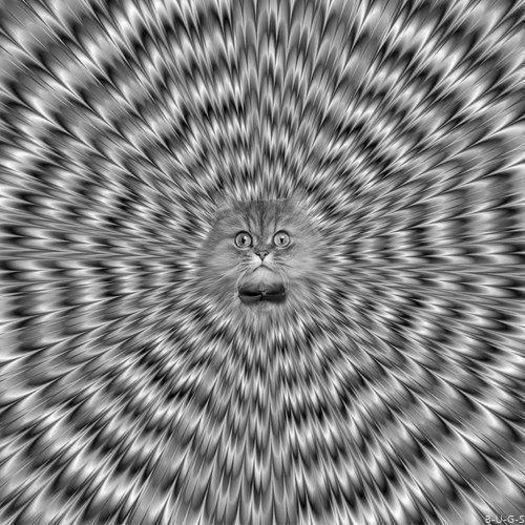 Iluzie-optica