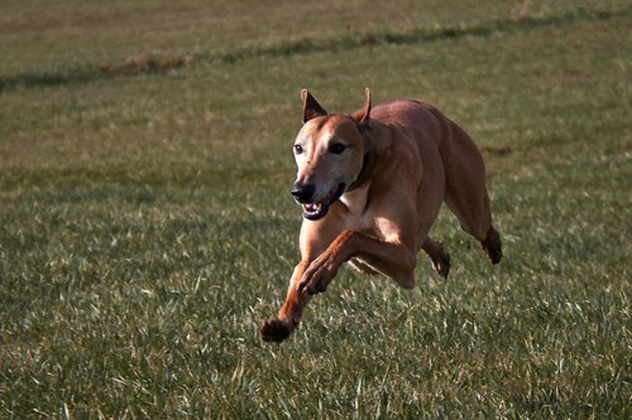 27 - x02-Alegeti poza