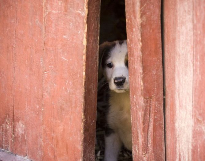 35 - x02-Alegeti poza