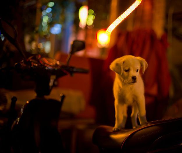 36 - x02-Alegeti poza