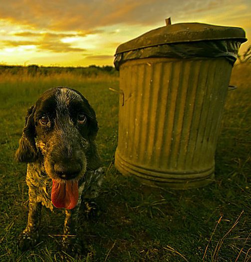 44 - x02-Alegeti poza