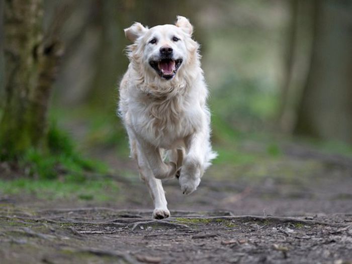 MileyOurGirl - x02-Alegeti poza